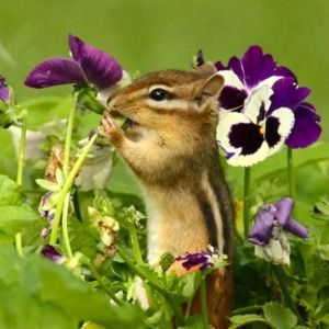 Meet your Posher, Lori